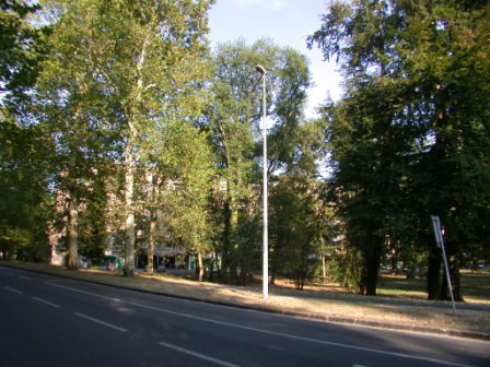 jardin31