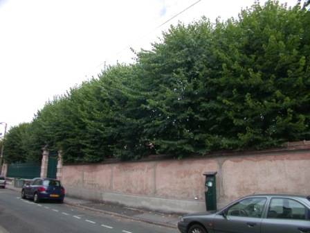 jardin60